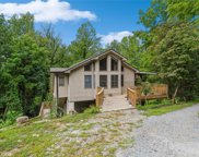 227 Bat Cave  Drive, Hendersonville image