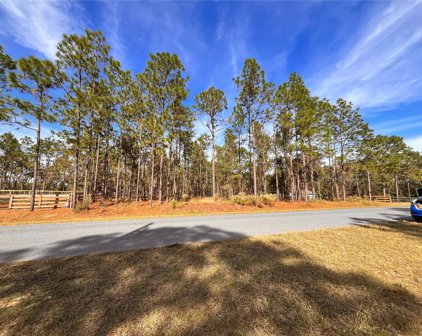 Sw 61st Place Road, Ocala