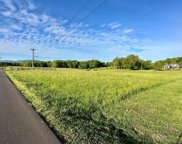 Lot 1 Mccorkle Road, White Pine image