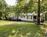 285 Forest View Circle, Hayden image