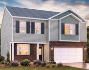 874 Honeybush, Lyman image