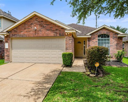 6343 Applewood Forest Drive, Katy