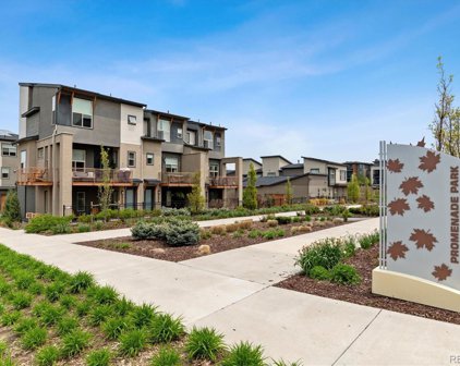 10100 Belvedere Circle, Lone Tree
