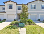 4004 Wild Senna Blvd, Tampa image
