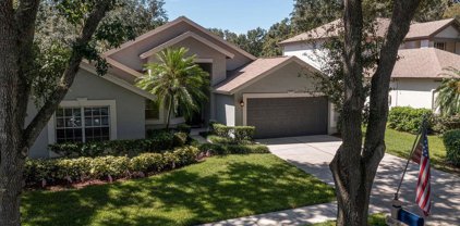 5407 Twin Creeks Drive, Valrico