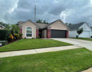 659 Mantis Loop, Apopka image