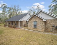 55 Begonia  Drive, Covington image