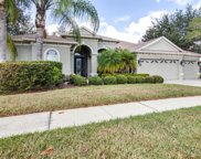3135 Marble Crest Drive, Land O' Lakes image