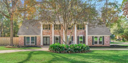 24115 Norchester Way, Spring