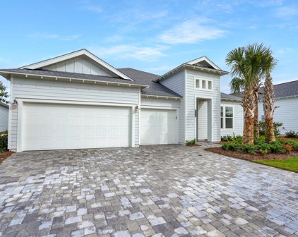 22 River Rise Way, Inlet Beach