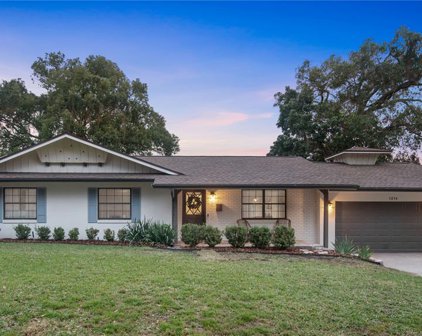 1214 Lake Margaret Drive, Orlando