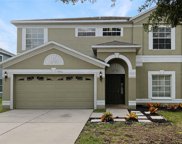 11312 Callaway Pond Drive, Riverview image