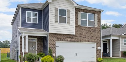 361 Victory Cir, Ashland City