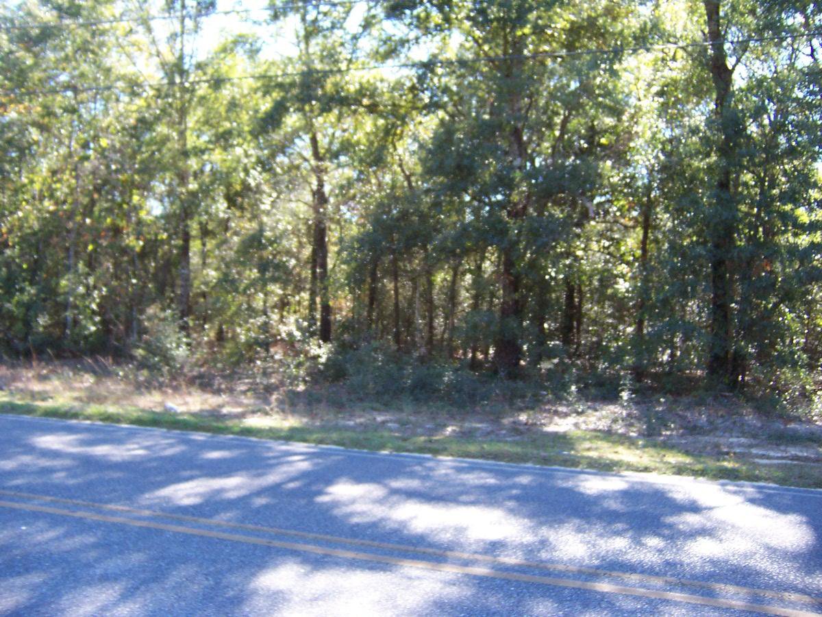 4 Ac Martin Road, Defuniak Springs, 32433