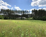 Lot 38 Red Pine Road, Delton image