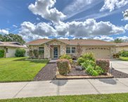 4206 Hollowtrail Drive, Tampa image