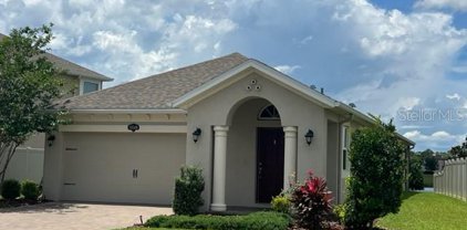 19349 Roseate Drive, Lutz