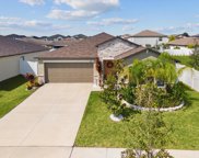 13603 Wild Ginger Street, Riverview image