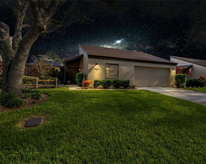 3938 Glen Oaks Manor Drive, Central Sarasota