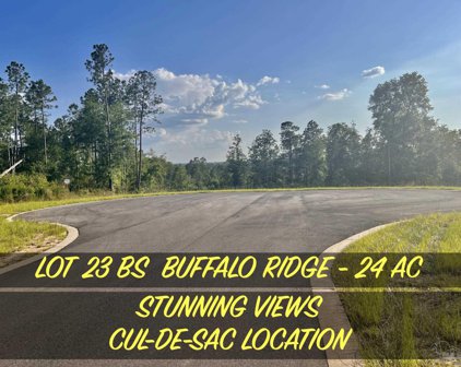Lot 23 BS Buffalo Ridge Rd, Pace