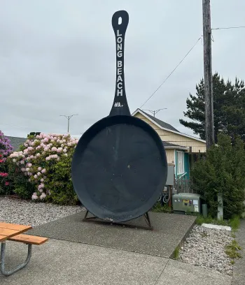 large frypan