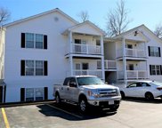 1408 Summertree Springs Ave Unit #c, Valley Park image