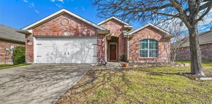 1011 Fredonia  Drive, Forney