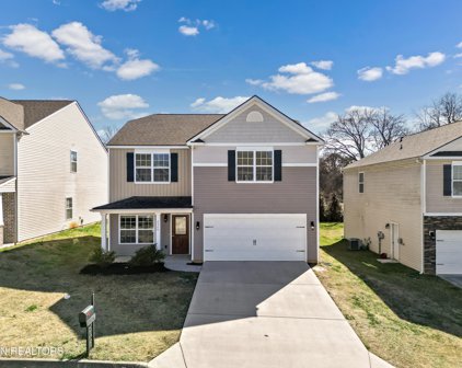 2326 McCampbell Wells Way, Knoxville