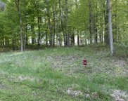 8766 Lakewood Trail Unit 13, Berrien Center image