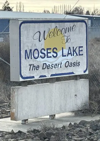 desert oasis