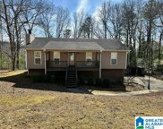 115 Cahaba Forest Drive, Trussville image