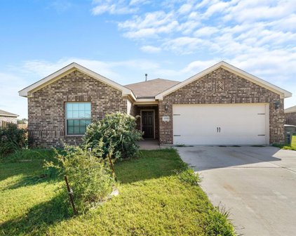 4559 Mares Tail  Drive, Forney