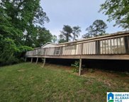 249 Seale Road, Calera image