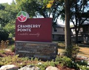 1158 Landmark Trail N, Hopkins image
