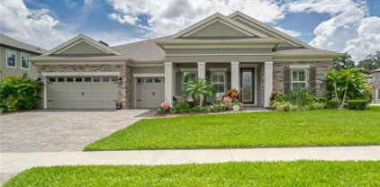 4503 March Terrace Lane, Valrico