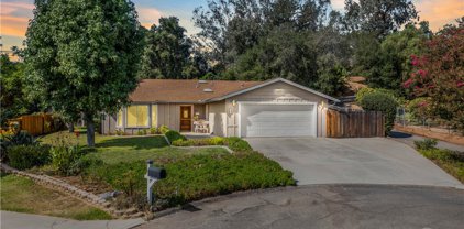 905 Dolstra Lane, Fallbrook