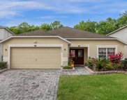 1224 Winding Willow Court, Kissimmee image