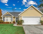 1008 Liriope Ln., Conway image