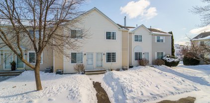9066 Scarlet Globe Drive, Eden Prairie