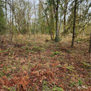 Vacant Land, Maple Valley image
