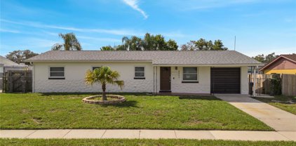4902 Malarkey Street, Orlando