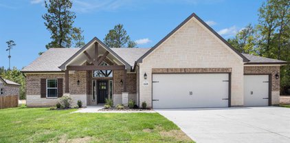 11630 Wilgers Way, Willis