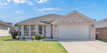4865 Eagle Trace  Drive, Fort Worth