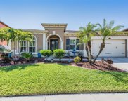 13230 Fawn Lily Drive, Riverview image