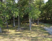 110 Toucan Lane, Coldspring image
