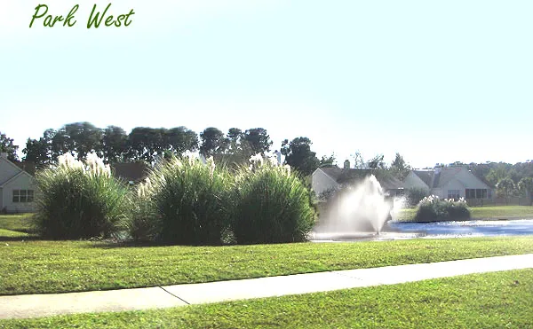 Park West, Mount Pleasant community