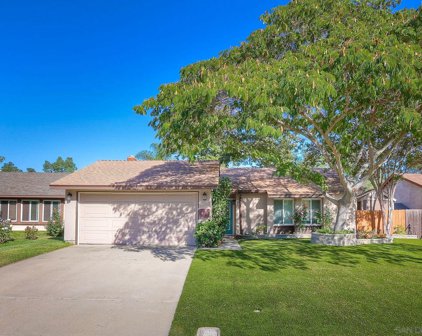 14051 Olive Meadows Place, Poway