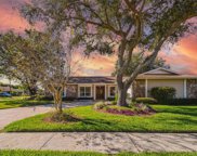 15002 Naturewalk Drive, Tampa image