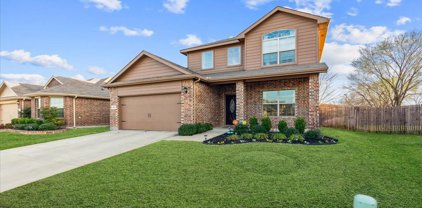 8204 Windsor Forest  Drive, Fort Worth