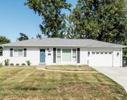 17 Di Franco  Lane, O'Fallon image